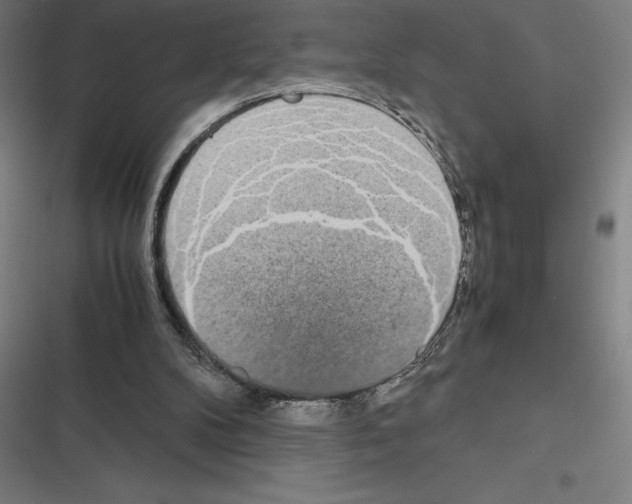 X0000116580104201001211313