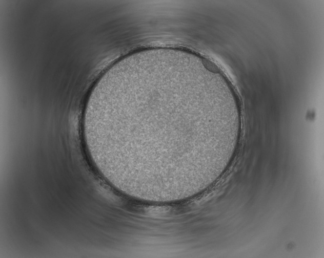 X0000116580105201001211313