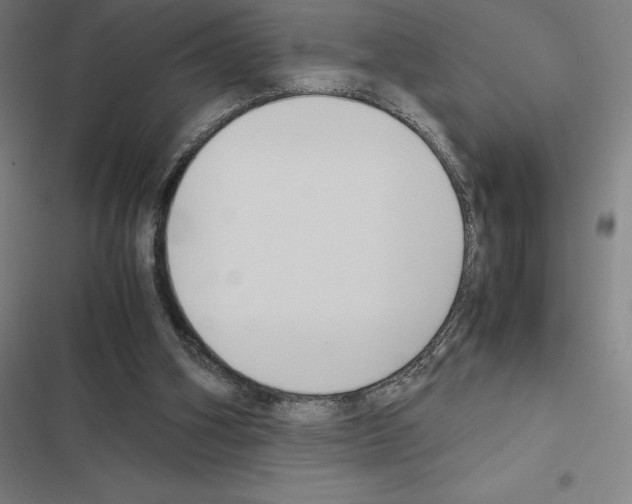 X0000116580106201001211313
