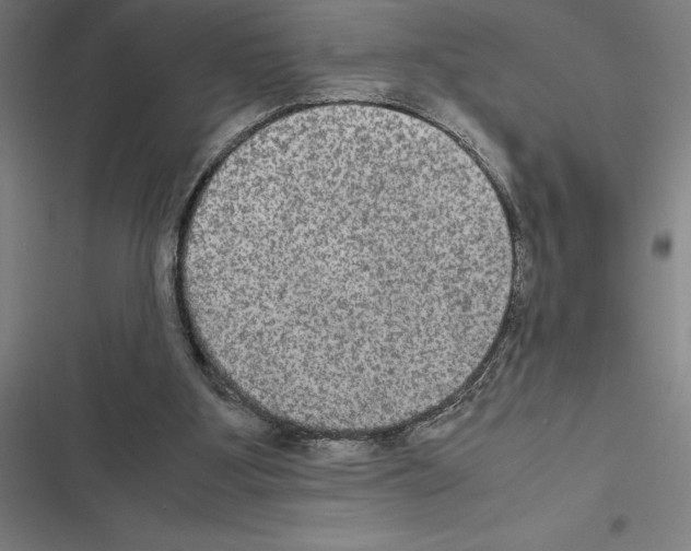 X0000116580107201001211313