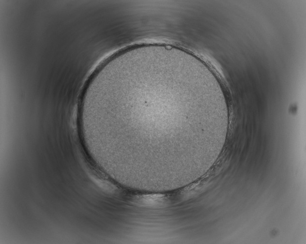 X0000116580108201001211313