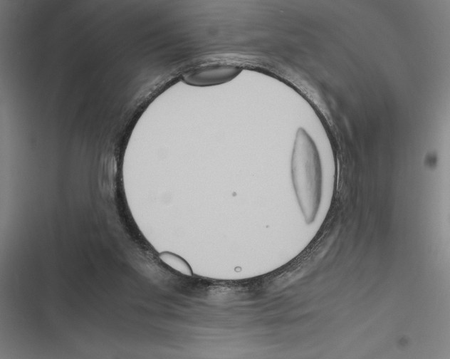 X0000116580109201001211313
