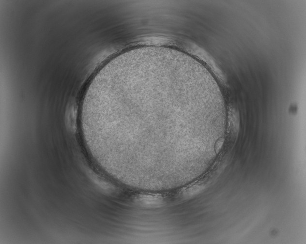 X0000116580110201001211313