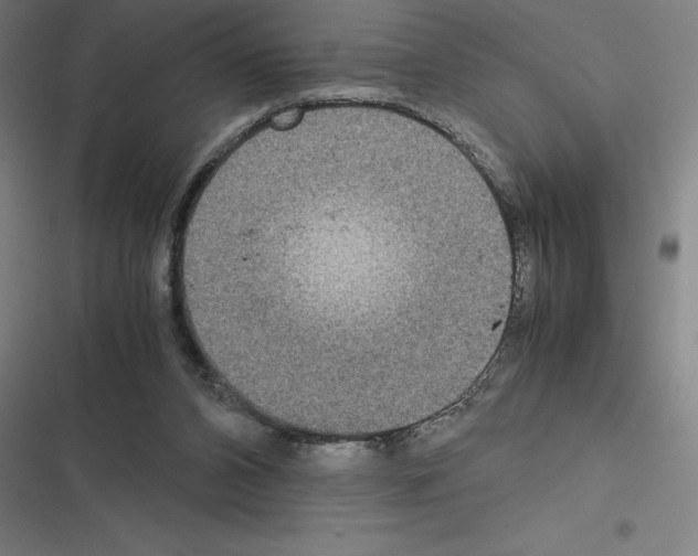 X0000116580112201001211313