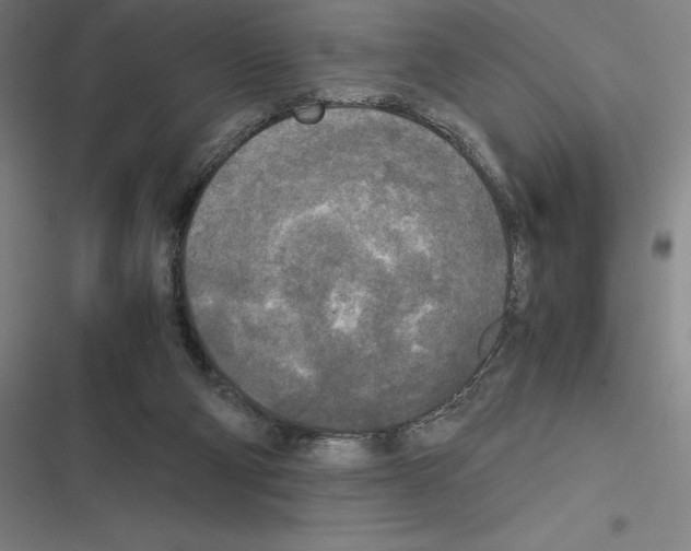 X0000116580114201001211313