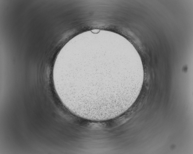 X0000116580115201001211313