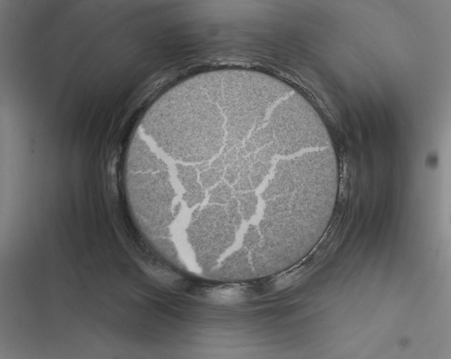 X0000116580116201001211313
