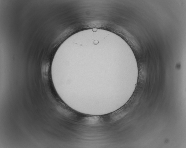 X0000116580118201001211313
