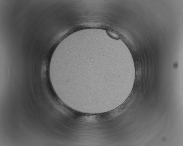 X0000116580120201001211313