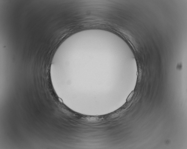 X0000116580121201001211313