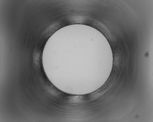X0000116580122201001211313