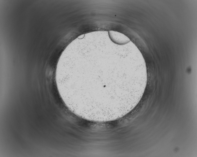 X0000116580123201001211312