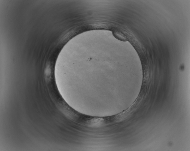 X0000116580124201001211312