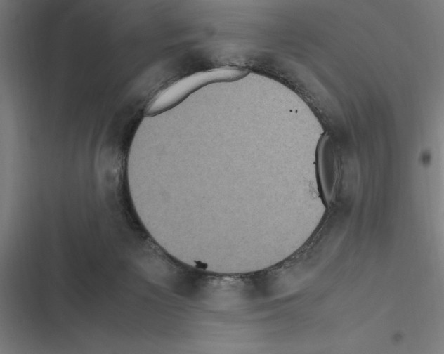 X0000116580125201001211312