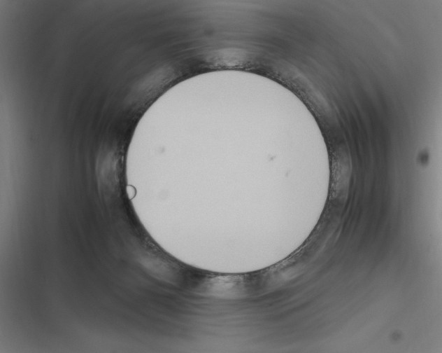 X0000116580126201001211312