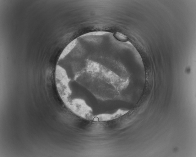 X0000116580127201001211312