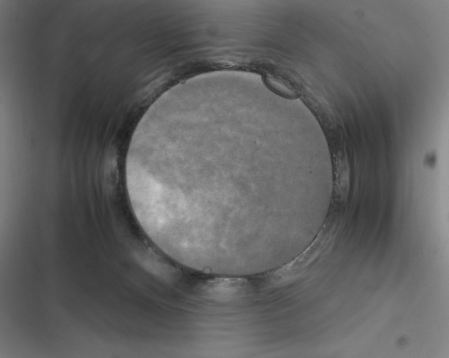 X0000116580128201001211312