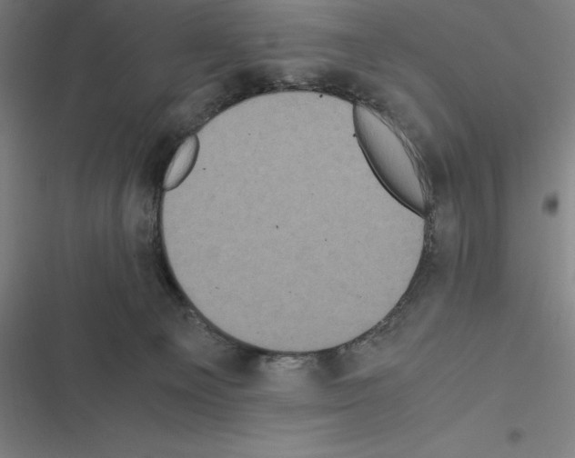 X0000116580129201001211312