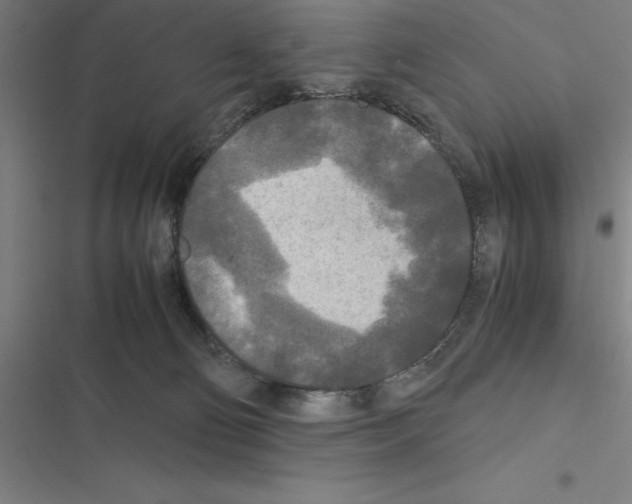 X0000116580130201001211312