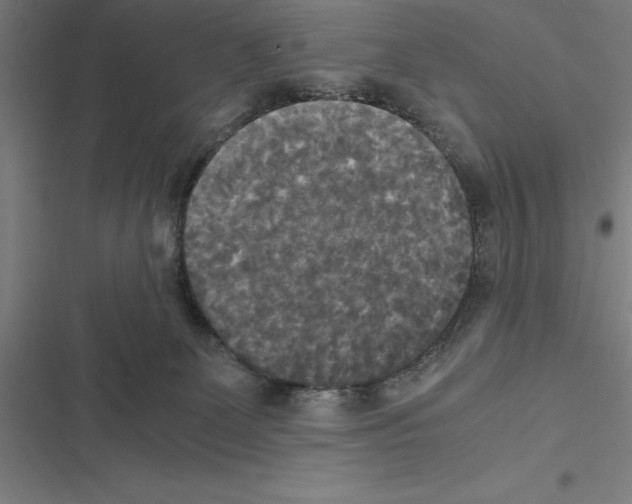 X0000116580131201001211312