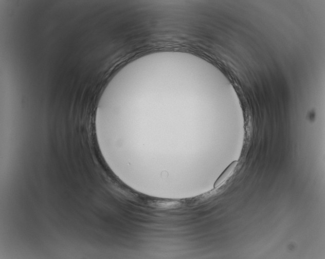 X0000116580132201001211312