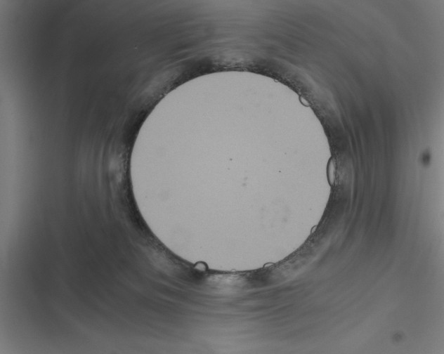 X0000116580133201001211312