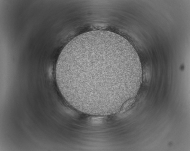 X0000116580134201001211312