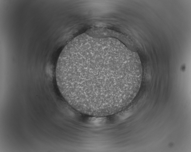 X0000116580135201001211312