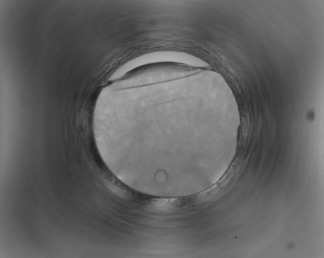 X0000116580136201001211312