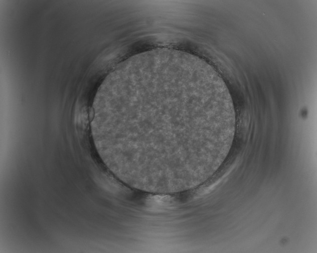 X0000116580137201001211312