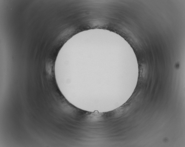 X0000116580138201001211312