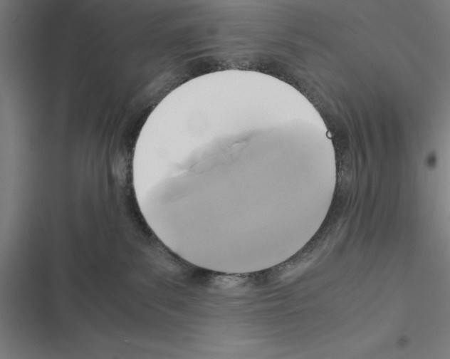 X0000116580139201001211312