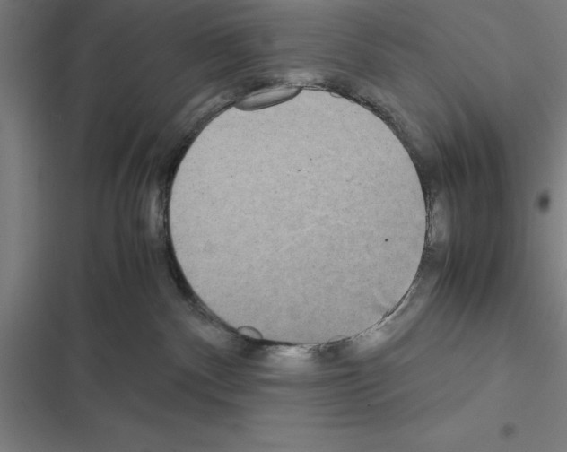 X0000116580140201001211312
