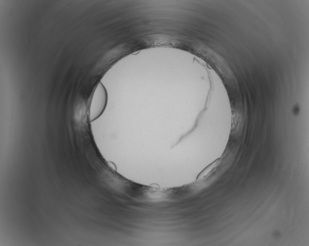 X0000116580142201001211312