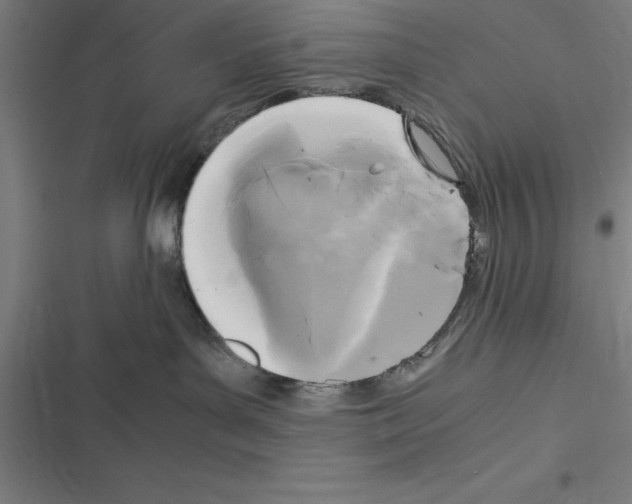 X0000116580143201001211312