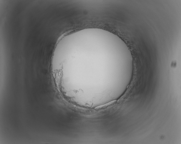 X0000116580144201001211312