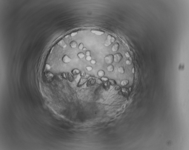 X0000116580145201001211312