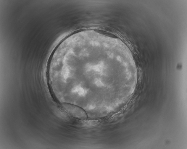 X0000116580147201001211312