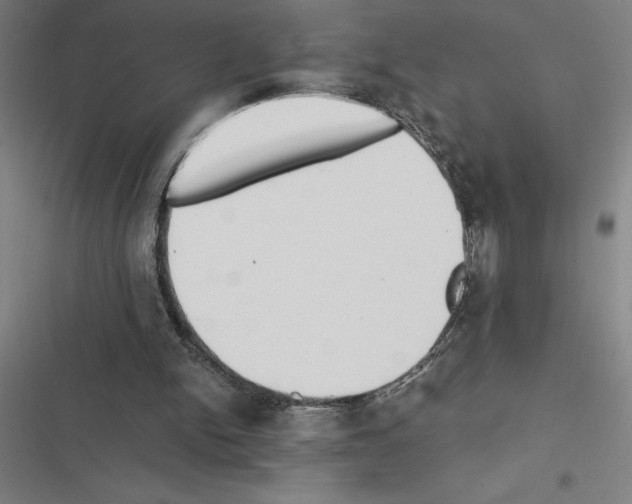 X0000116580150201001211312