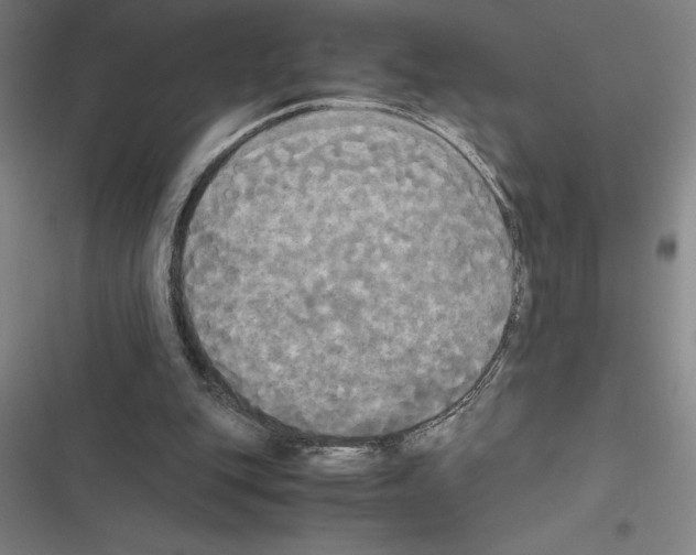 X0000116580151201001211312
