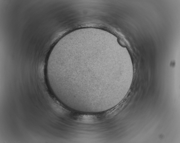 X0000116580154201001211312