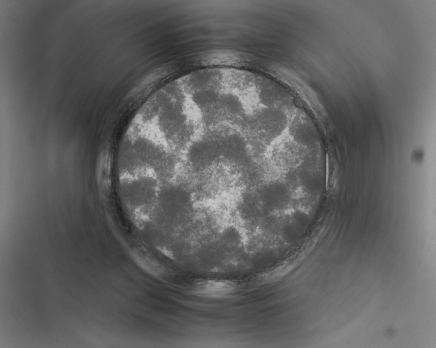 X0000116580157201001211312