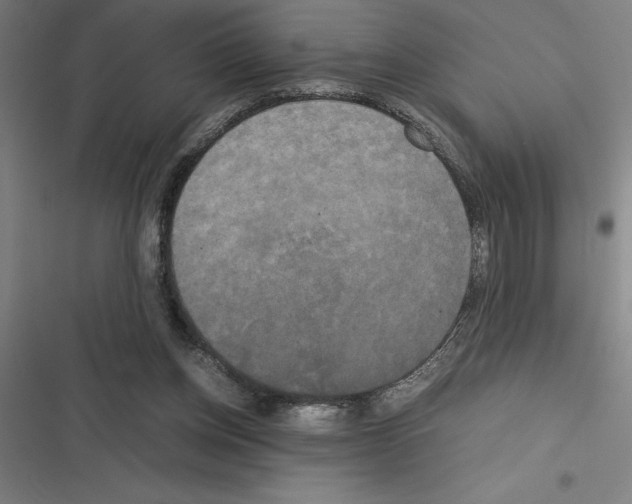 X0000116580158201001211312
