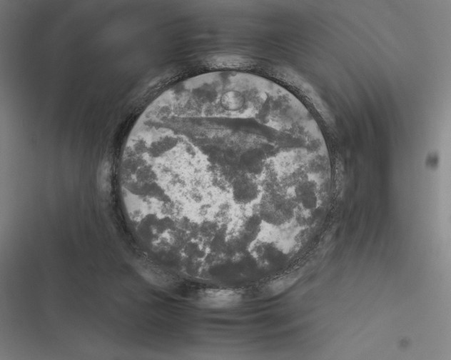 X0000116580161201001211312