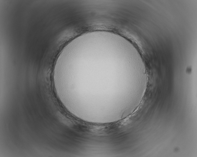 X0000116580162201001211312