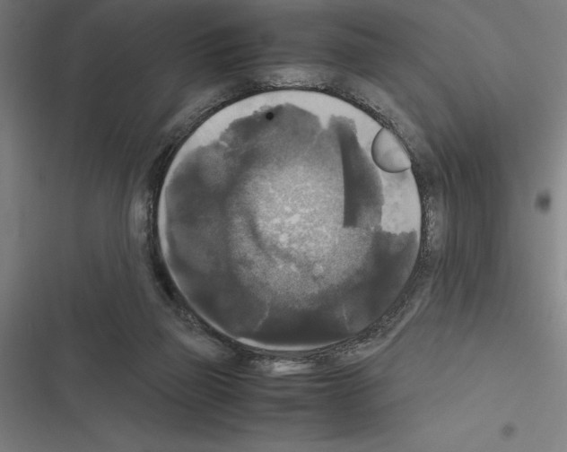 X0000116580165201001211312