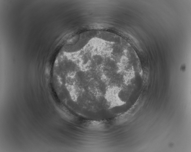 X0000116580166201001211312
