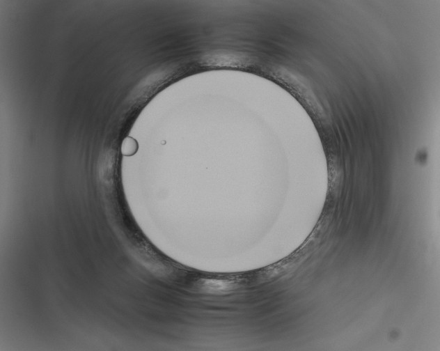X0000116580167201001211312