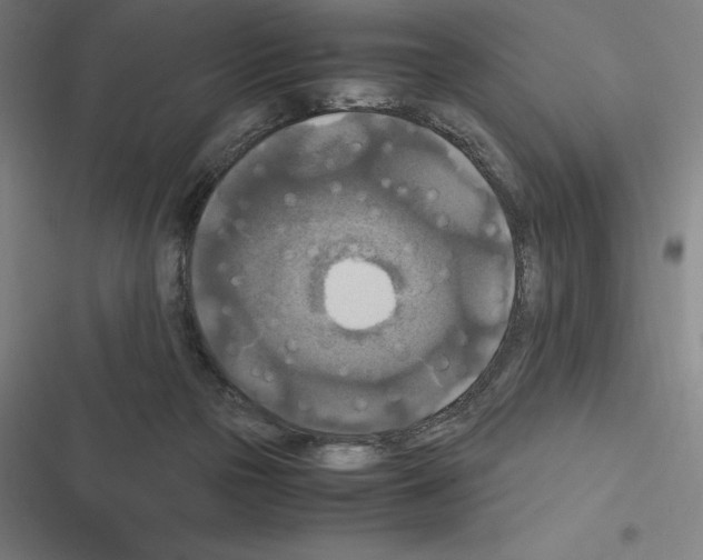 X0000116580169201001211312