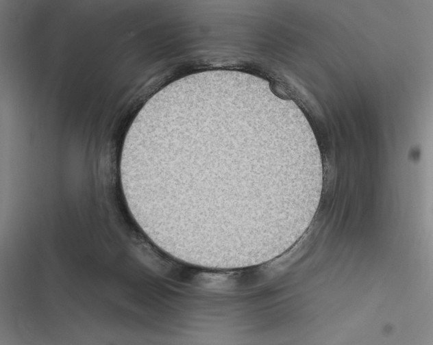X0000116580170201001211312